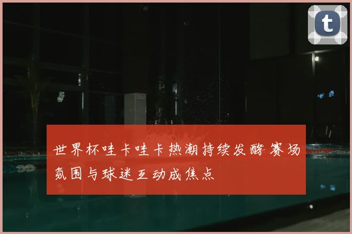 世界杯哇卡哇卡热潮持续发酵 赛场氛围与球迷互动成焦点