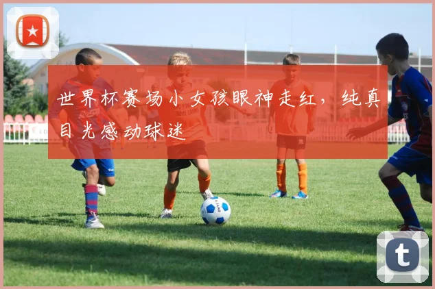 世界杯赛场小女孩眼神走红，纯真目光感动球迷